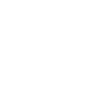 Solve Intelligence